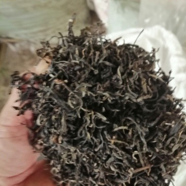 黄茶
