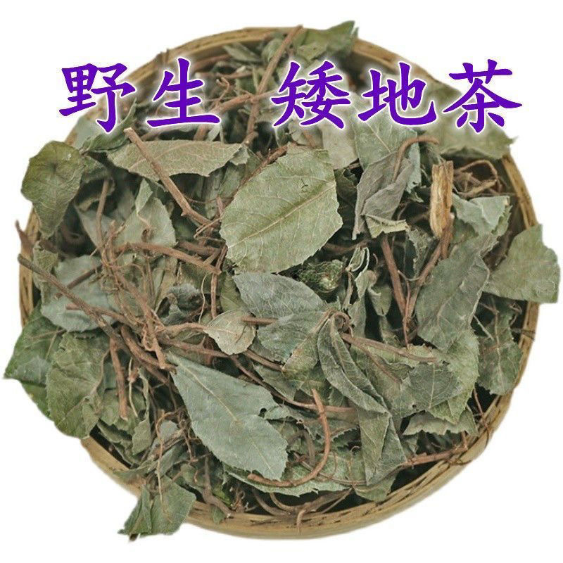 矮地茶平地木正宗野生无硫新货批发零售二斤起售
