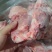 国产满肉棒骨头20斤装，一件30来块，工厂直发，量大从优