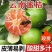 早春蜜桔/秋天蜜桔/七甜三分/产区现货