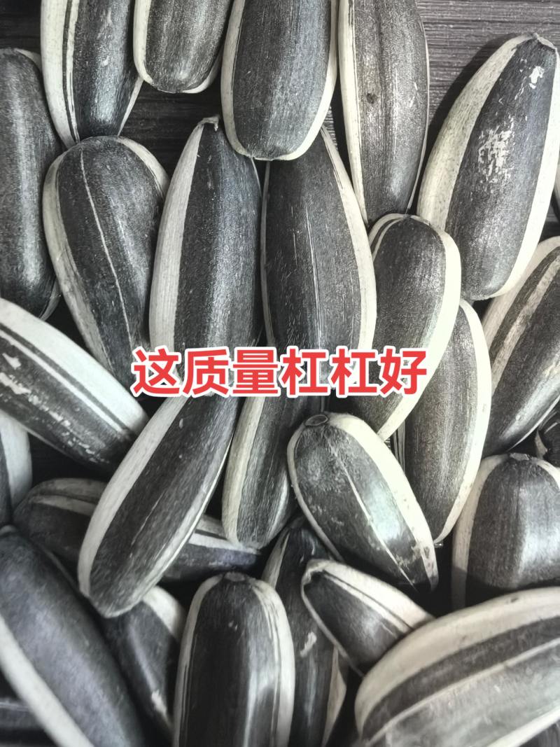 河北打手瓜子大量招电商/可视频看货/量大价优/欢迎咨询