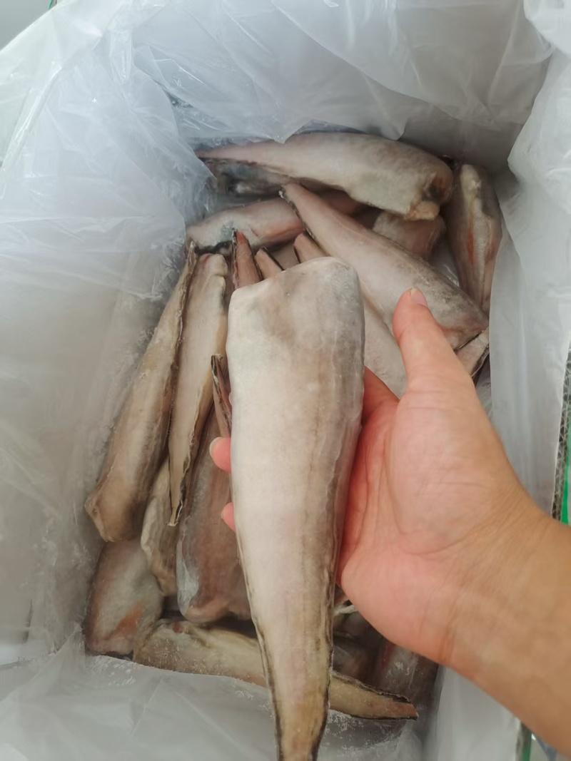100送3件，三去凤尾鱼，特大号，大量现货