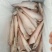 100送3件，三去凤尾鱼，特大号，大量现货