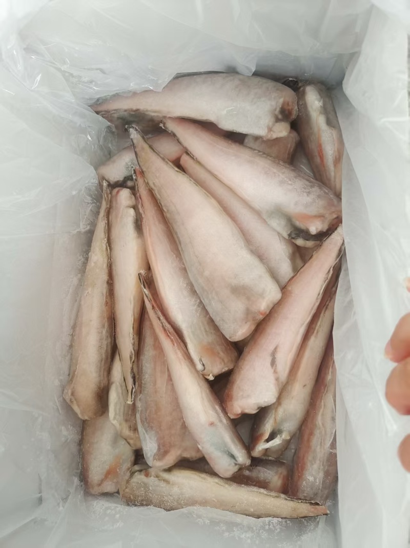 100送3件，三去凤尾鱼，特大号，大量现货