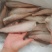 100送3件，三去凤尾鱼，特大号，大量现货