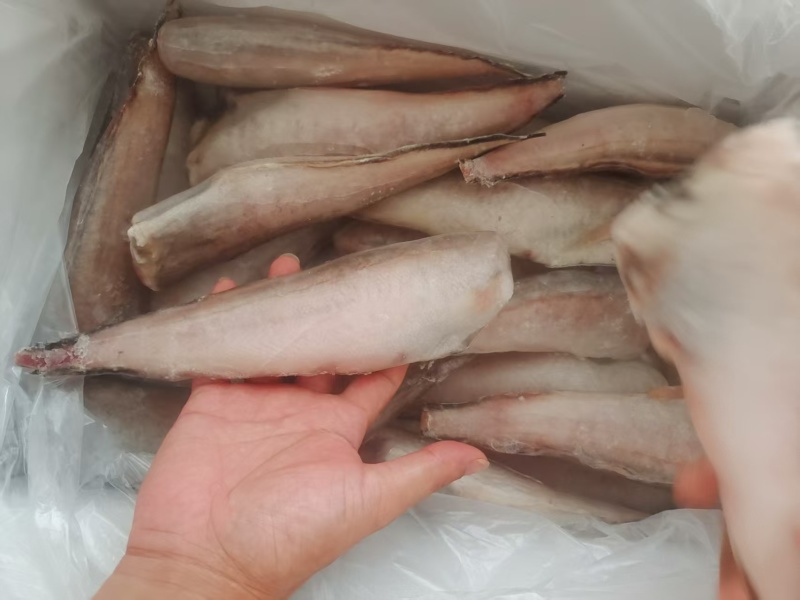 100送3件，三去凤尾鱼，特大号，大量现货