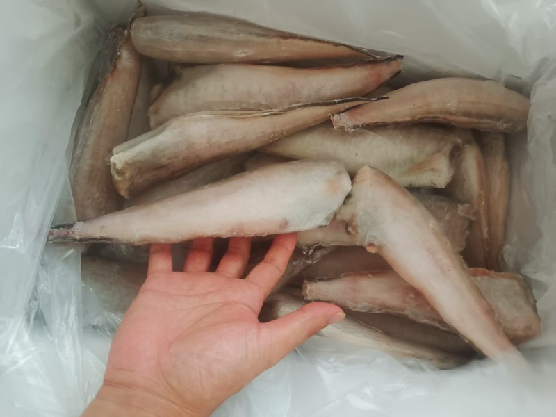 100送3件，三去凤尾鱼，特大号，大量现货