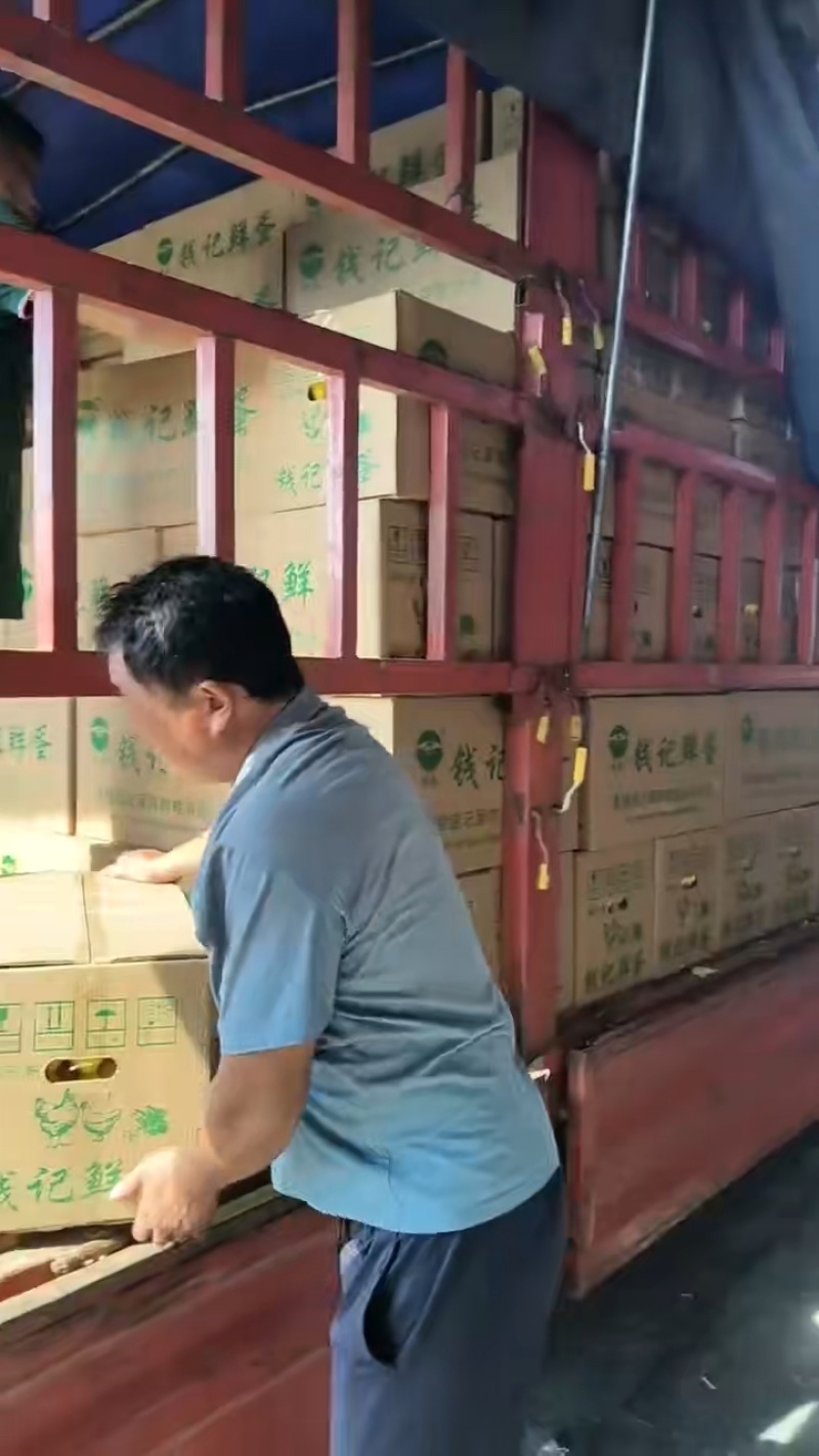 东方红物流承接全国物流运输业务代办农产品