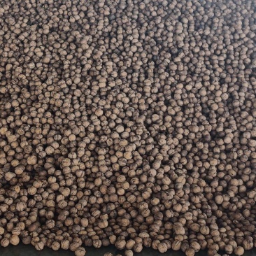阿克苏185纸皮核桃，新早丰，新2核桃，价格便宜质量保证