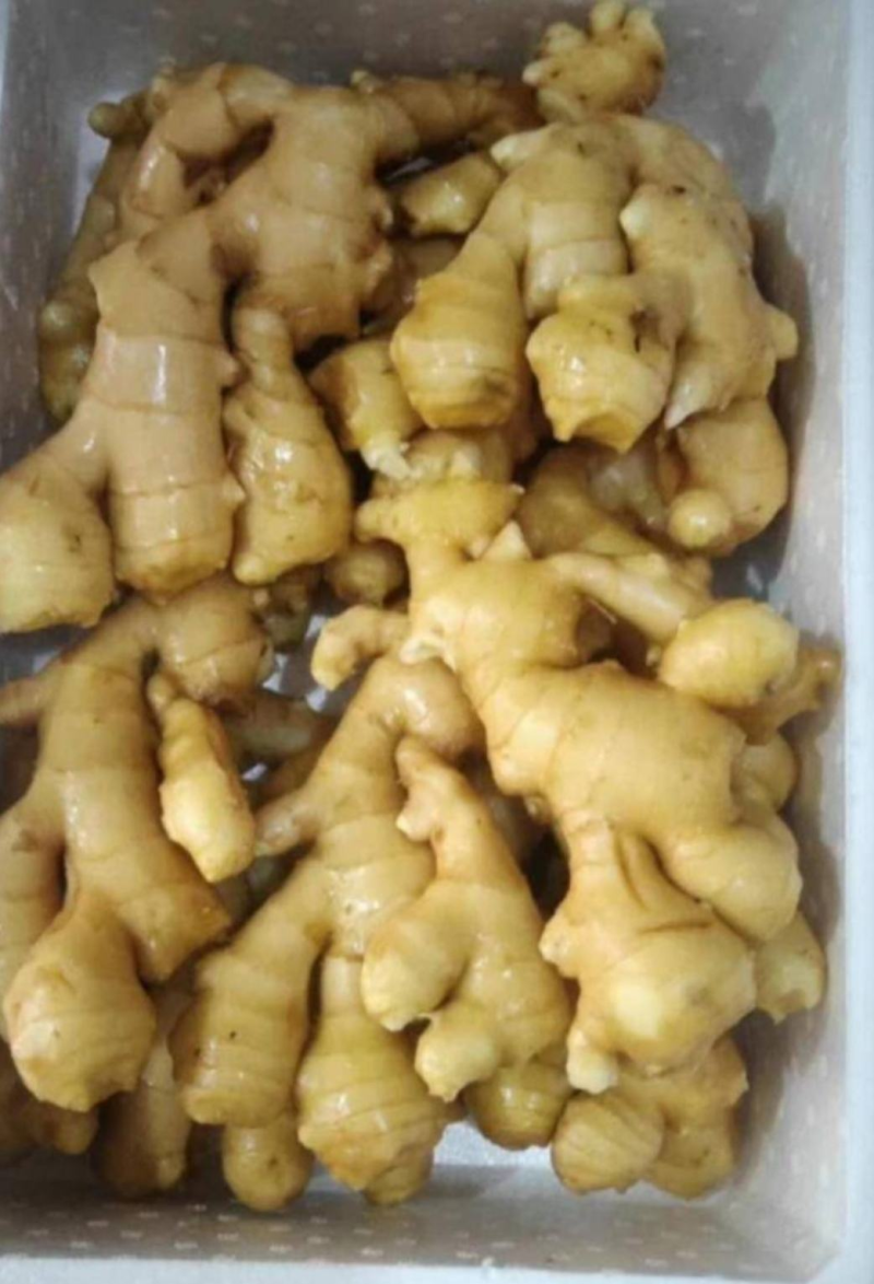 大黄姜耐储存面姜块大水洗提供包装装车服务欢迎联系