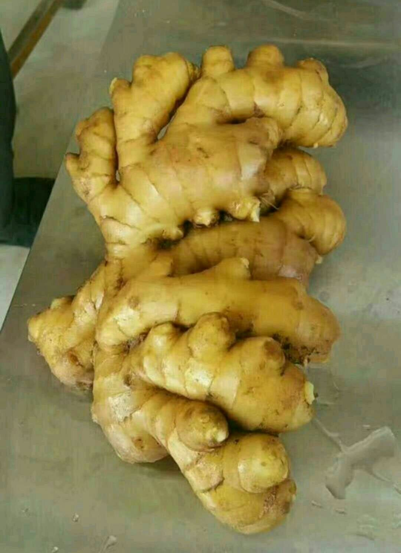 大黄姜耐储存面姜块大水洗提供包装装车服务欢迎联系