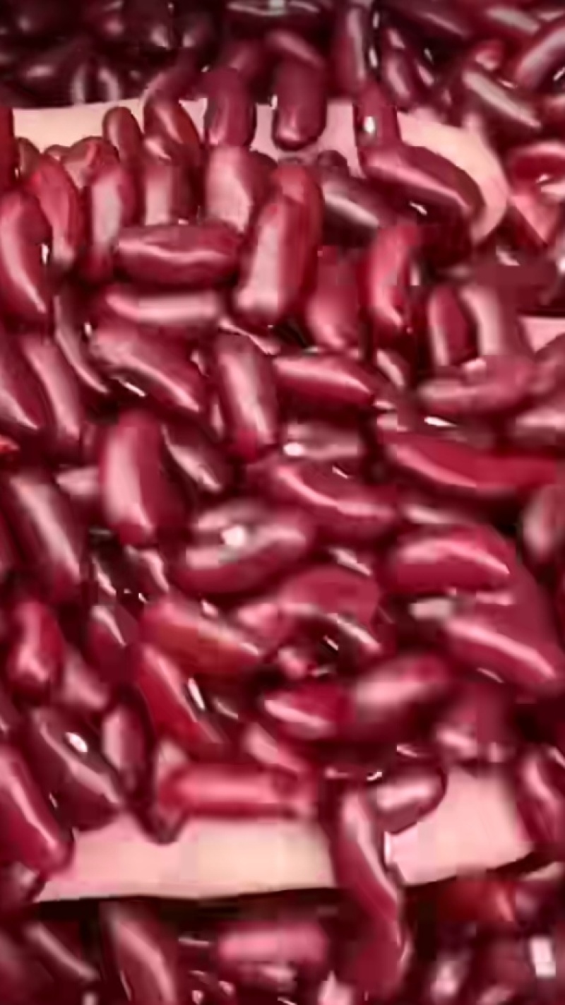 红豆