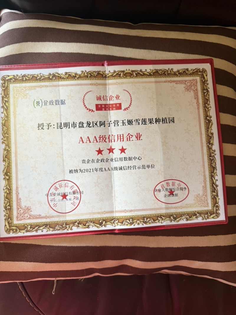 专业电商一件代发全网可发多种价格品质可以选择！