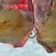 纯羊排大量供应，全国发货，保质保量，可对接电商商超，诚信经营