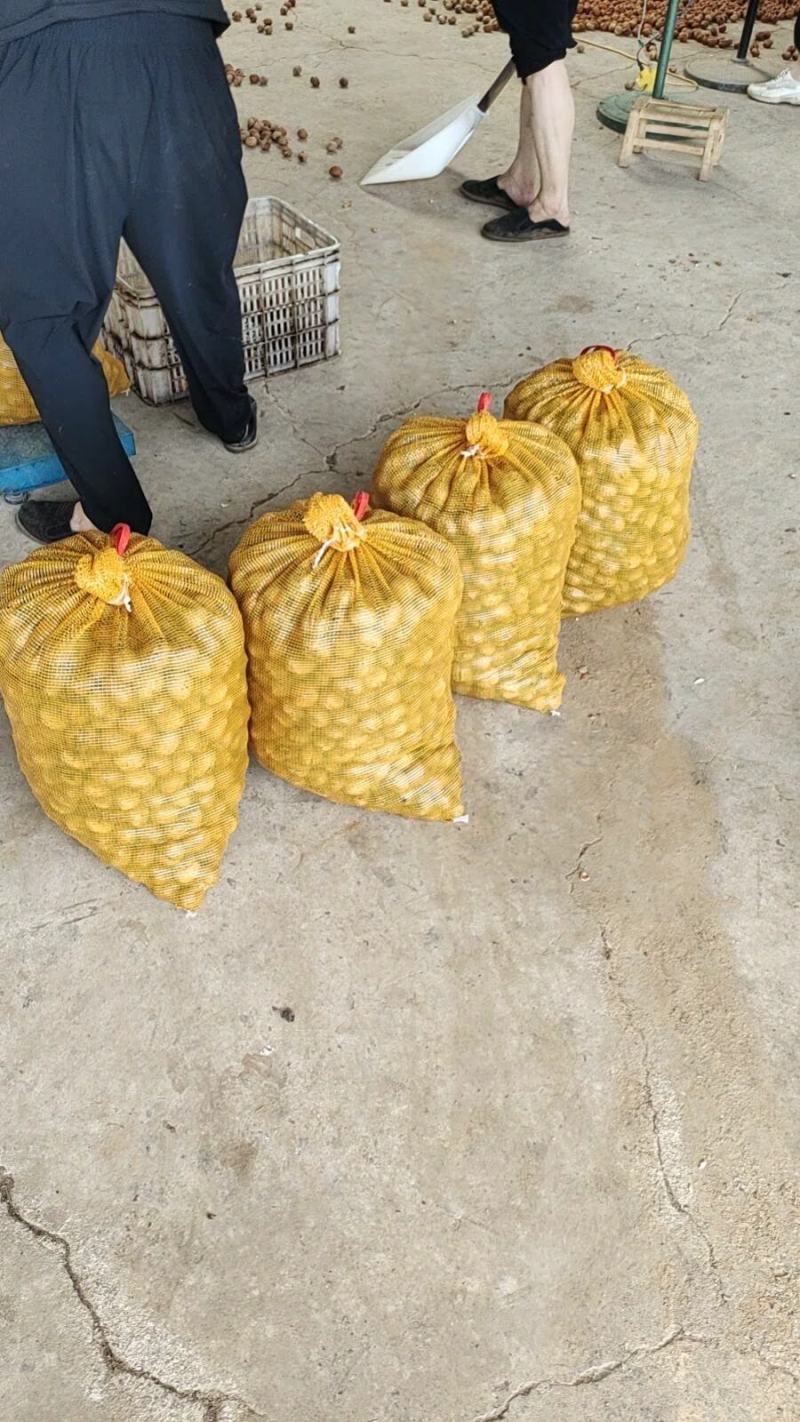 干核桃各种各样干核桃需要的联系！！！！！！！！！！！