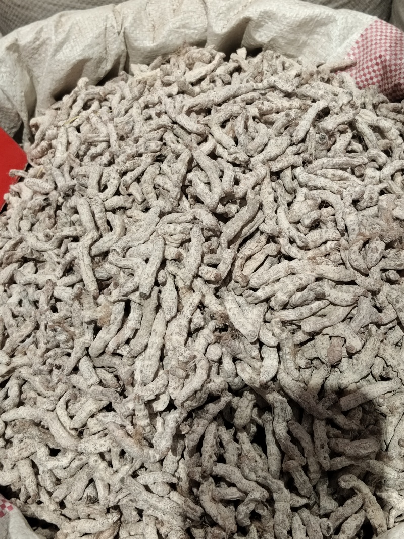 僵蚕/云南产地直销/质量保障/品质放心