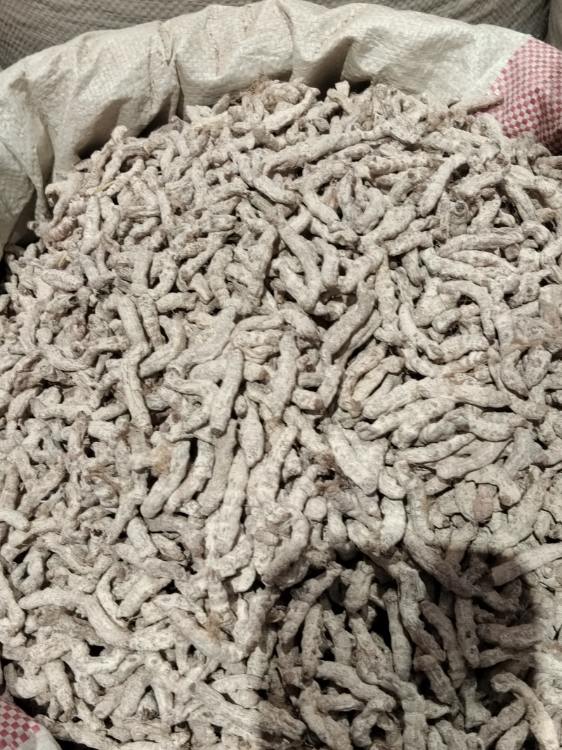 僵蚕/云南产地直销/质量保障/品质放心