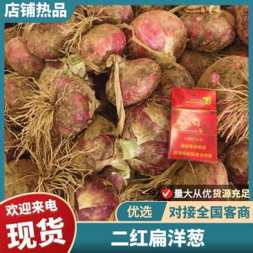 二红扁洋葱水果洋葱产品优质可视频看货二红葱扁葱头