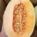 【实力推荐】夏邑晓蜜25哈密瓜糖度超高/大棚严选