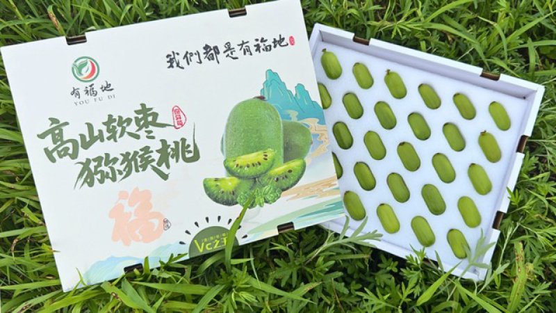 软枣猕猴桃礼盒装过节礼物单位发礼品都可以选择
