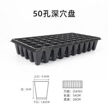 穴盘加深32孔50孔育苗盘，平盘有孔无孔