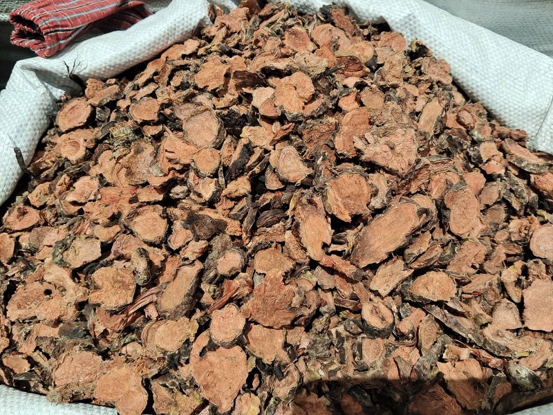 西藏红景天/产地直销货充足/保障正品/放心购买