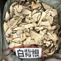 白背根中药材野生白背根冷背中药材大全批发零售