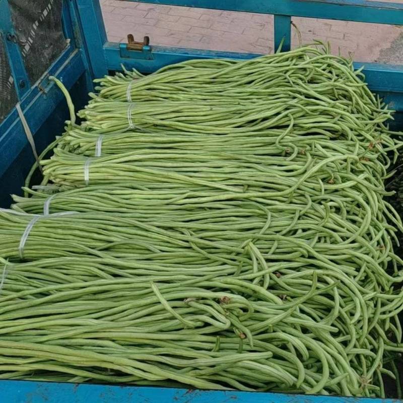 新鲜蔬菜