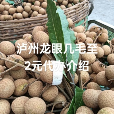 泸州龙眼