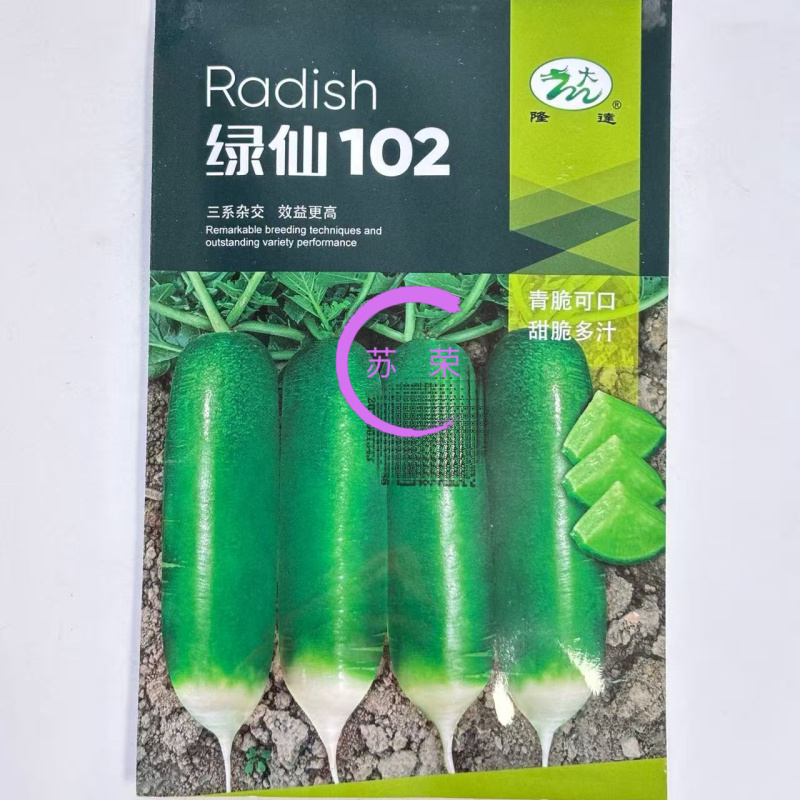 绿仙102水果青萝卜种子甜脆多汁青萝卜抗病高产农家蔬菜种