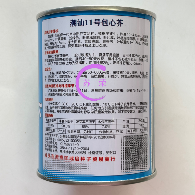 潮汕11号包心芥菜种籽耐热抗病秋播包心芥菜脆爽大肉青芥菜