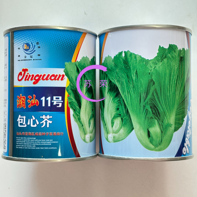潮汕11号包心芥菜种籽耐热抗病秋播包心芥菜脆爽大肉青芥菜