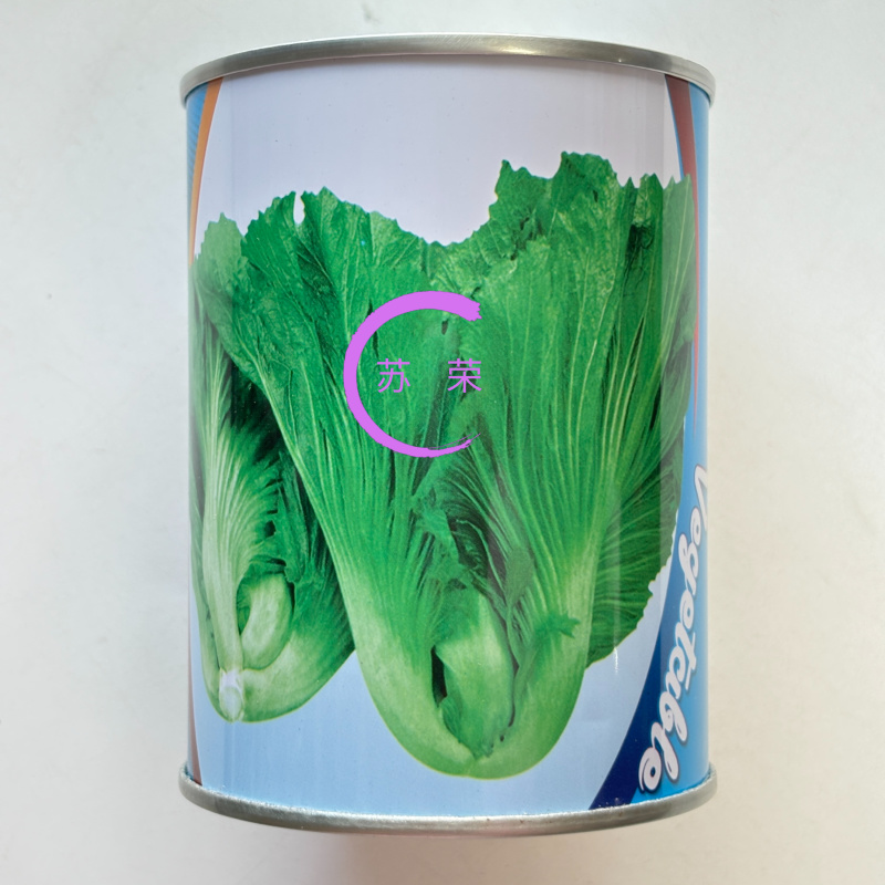 潮汕11号包心芥菜种籽耐热抗病秋播包心芥菜脆爽大肉青芥菜