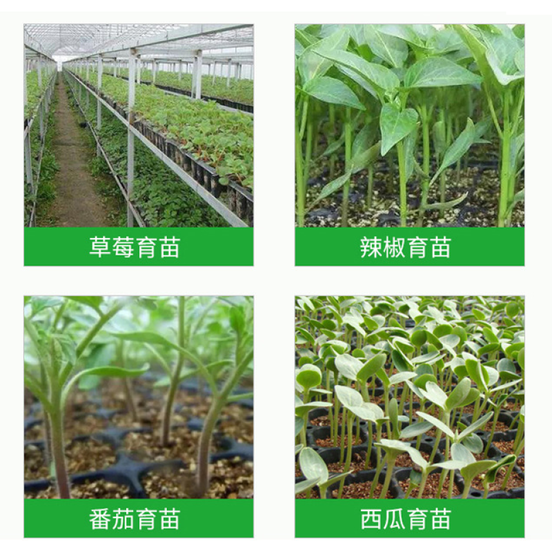 加深穴盘32孔50孔72孔穴盘加厚加深林木穴盘