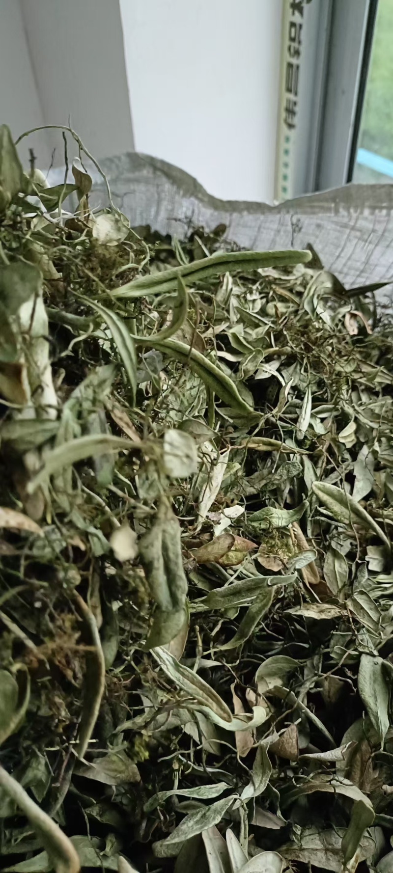 抱石莲精品阴干货