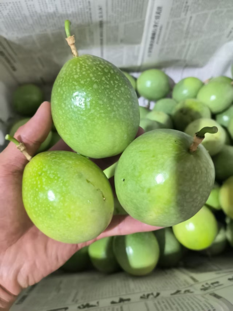 钦蜜9号百香果