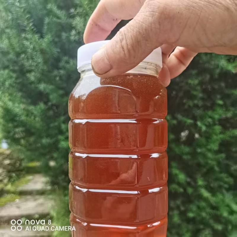 市场上不缺蜂蜜，只缺真蜂蜜，新鲜出炉，高山的土蜂蜜