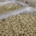 【放心购买】蒜米山东蒜米预制菜用米食堂用米工厂用蒜米