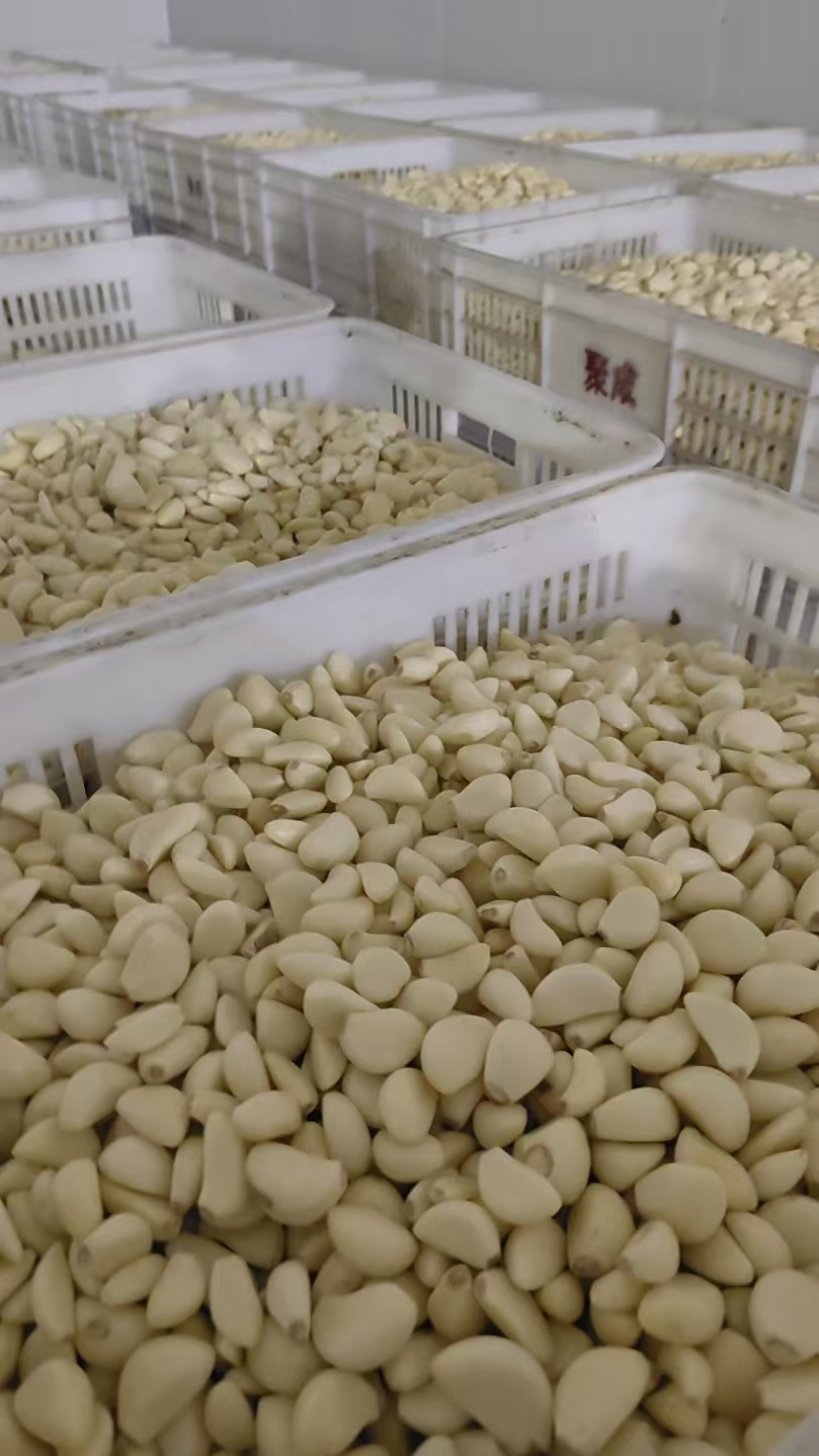 【放心购买】蒜米山东蒜米预制菜用米食堂用米工厂用蒜米