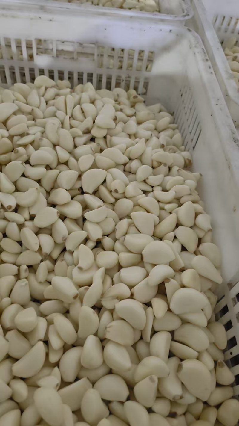 【放心购买】蒜米山东蒜米预制菜用米食堂用米工厂用蒜米