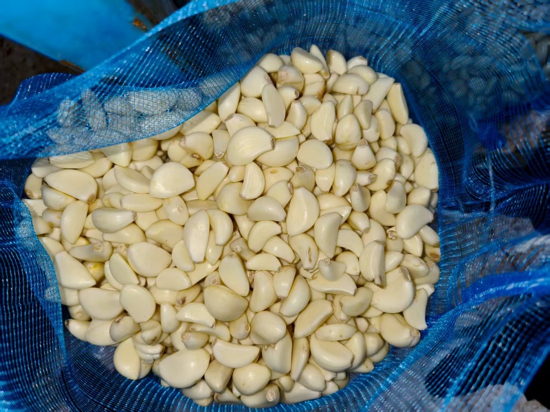 【放心购买】蒜米山东蒜米预制菜用米食堂用米工厂用蒜米