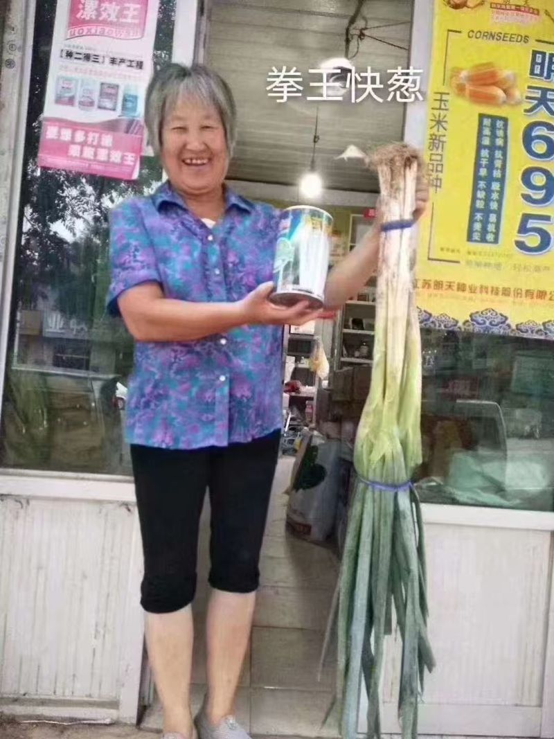 豫艺拳王快葱种子葱白长山东大葱种子葱叶墨绿长白葱种子耐寒