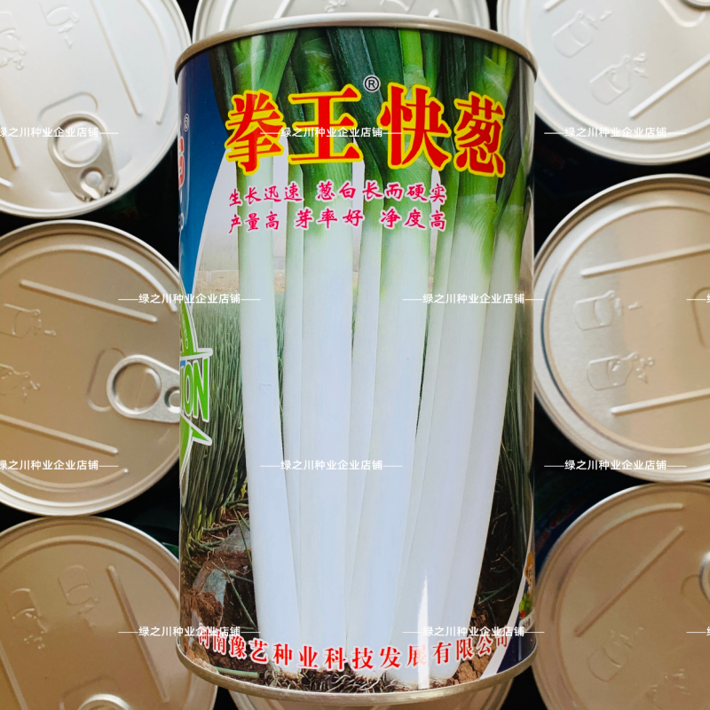 豫艺拳王快葱种子葱白长山东大葱种子葱叶墨绿长白葱种子耐寒
