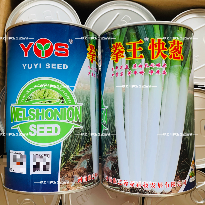 豫艺拳王快葱种子葱白长山东大葱种子葱叶墨绿长白葱种子耐寒