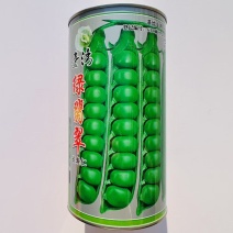 台湾绿翡翠长寿仁豌豆种子进口豌豆种子分枝能力强丰产性好