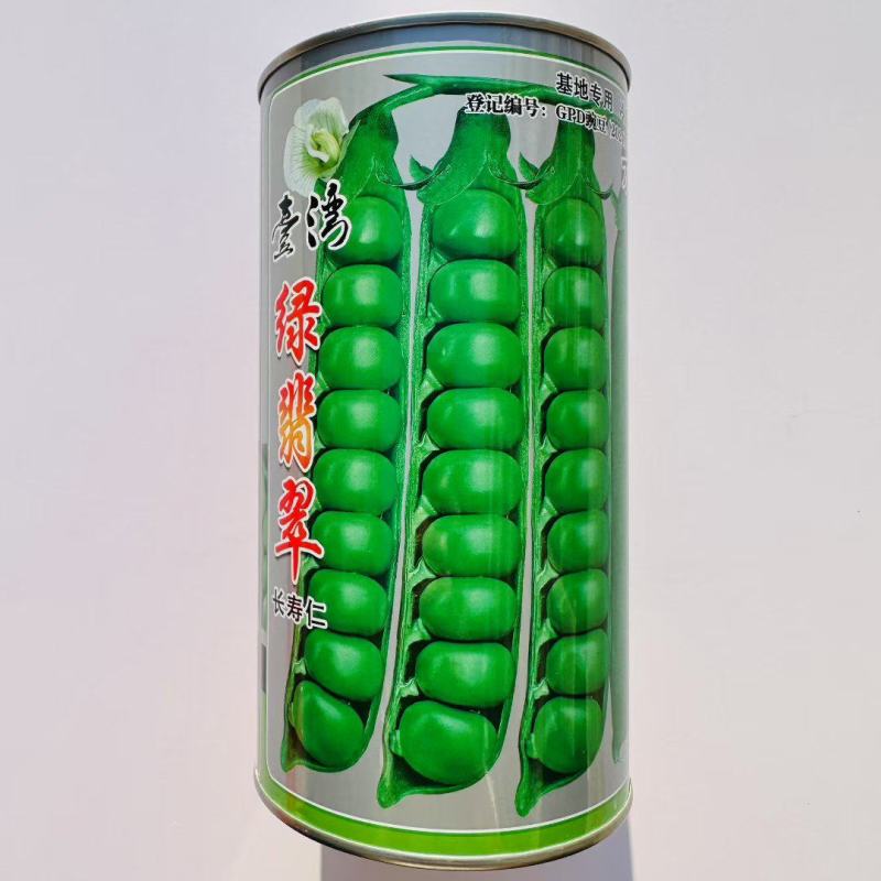 台湾绿翡翠长寿仁豌豆种子进口豌豆种子分枝能力强丰产性好