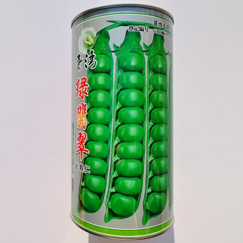 台湾绿翡翠长寿仁豌豆种子进口豌豆种子分枝能力强丰产性好