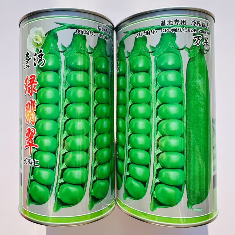 台湾绿翡翠长寿仁豌豆种子进口豌豆种子分枝能力强丰产性好