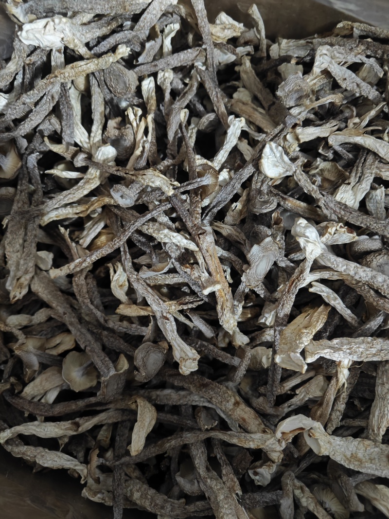 精品中条鹿茸菇干货食用菌批发嫩仔精品中条