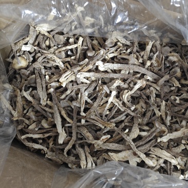 精品中条鹿茸菇干货食用菌批发嫩仔精品中条